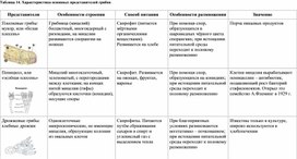 Сравнительная таблица по грибам