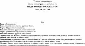 Обложка для материала Технологическая карта занятия трудовой деятельностью в центре природы Посадка лука