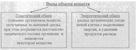 Материал к урокам  биологии