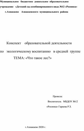 Конспект ОД по экологическому воспитанию в средней группе Тема: "Что  такое лес ?