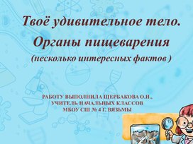 Презентация по теме "Твоё удивительное тело. Пищеварительная система."