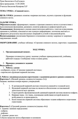 Конспект урока по биологии на тему Спинной могз