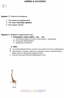Обложка для материала ФАЙЛЫ И КАТАЛОГИ.doc