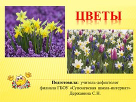 Обложка для материала Презентация "Цветы - украшение нашей природы..."