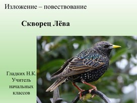 Изложение – повествование Скворец Лёва