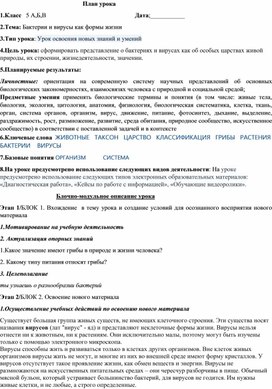 Конспект урока по теме: "Бактерии и вирусы".