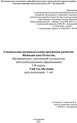 Обложка для материала Специальная индивидуальная программа развития, 3-год обучения