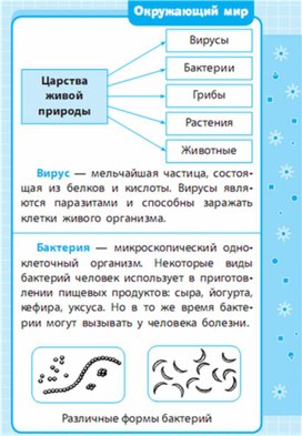 Закончите схему окружающий мир