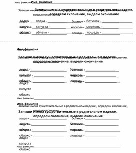 Обложка для материала Рабочий лист к уроку русского языка на тему "Правописание окончаний имён существительных"