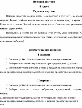 Обложка для материала вводный диктант