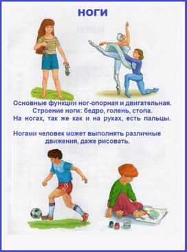 Обложка для материала зож