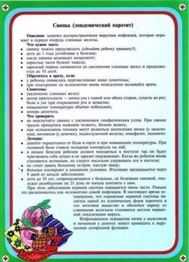 Обложка для материала свинка