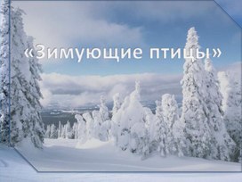 Обложка для материала Презентация "Зимующие птицы"