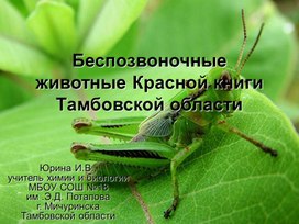 Презентация к уроку экологии "Беспозвоночные животные Красной книги Тамбовской области"