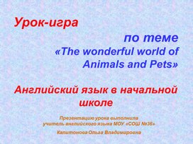 Урок-игра «The wonderful world of Animals and Pets»