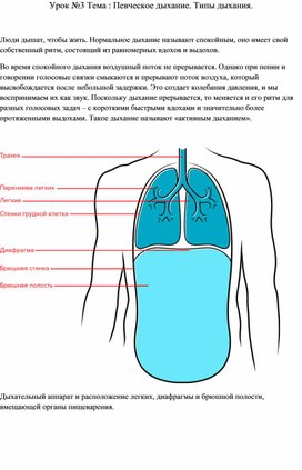 Певческое дыхание. Типы дыхания.