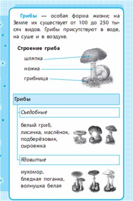 Закончите схему окружающий мир