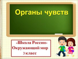 Органы чувств. Открытый урок