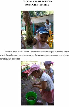 Обложка для материала Статья "Трудовое воспитание в старшей группе"