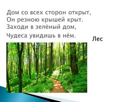 Презентация к уроку окружающего мира  во 2 классе на тему: "Какие бывают растения".