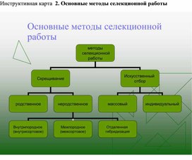 "Основные методы селекционной работы"