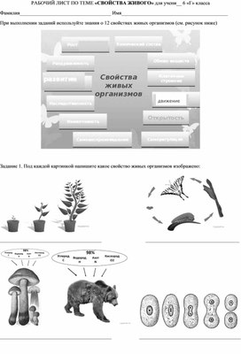 Рабочий лист "Свойства живого"