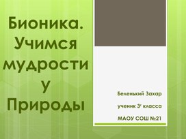 Презентация "Бионика. Учимся мудрости у природы"