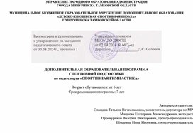 Программа спортивной подготовки по виду спорта "Спортивная гимнастика"