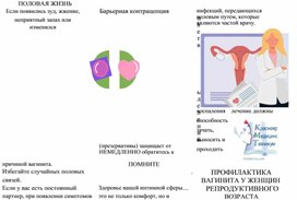 Обложка для материала Деятельность медицинской сестры по профилактике вагинита у женщин репродуктивного возвраста