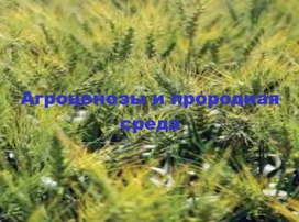 Обложка для материала Урок биологии в 10 классе на тему: "Агроценозы и природная среда"