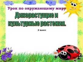 Урок окружающего мира "Дикорастущие и культурные растения" 2 класс