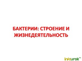 Обложка для материала Бактерии