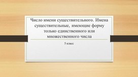 Презентация "Число имени существительного. Имена существительные, имеющие форму только единственного или множественного числа" (5 класс)