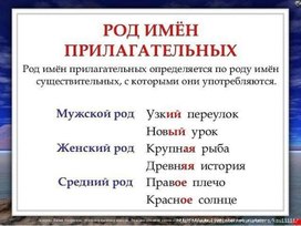 Обложка для материала род имен прилагательных