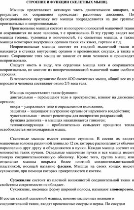 Обложка для материала СТРОЕНИЕ И ФУНКЦИИ СКЕЛЕТНЫХ МЫШЦ