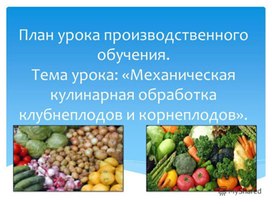 Механическая и кулинарная обработка корнеплодов и  клубнеплодов