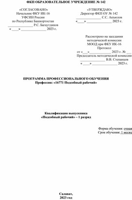 Программа производственного обучения  по профессии "Подсобный рабочий"