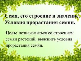 Презентация к уроку "Семя, его строение. Условия прорастания семян"