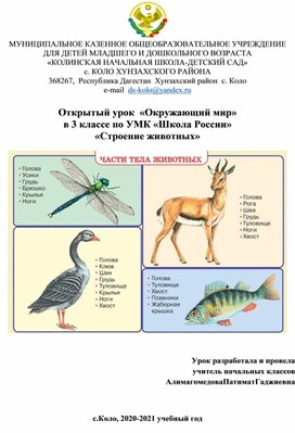 Открытый урок  «Окружающий мир»  в 3 классе по УМК «Школа России» «Строение животных»