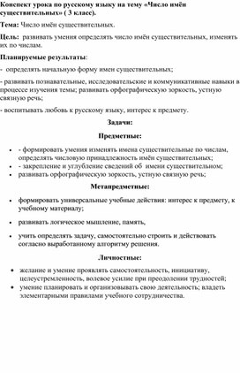 Урок русского языка. 3 класс. Школа России. Тема «Число имён существительных»