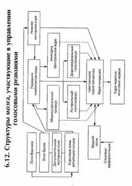 Обложка для материала материал по психофизиологии