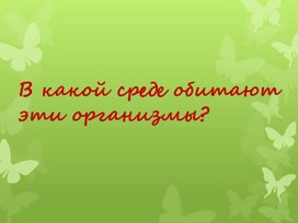 Обложка для материала презентация к уроку биологии "Организмы как среда обитания" 5 класс ФОП
