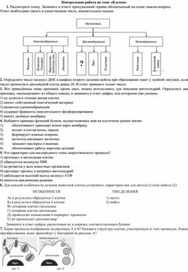 Обложка для материала контрольная 10 класс клетка