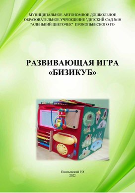 Развивающая игра "БИЗИКУБ"