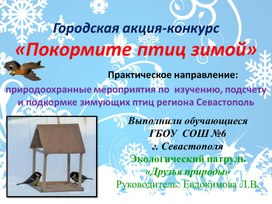 Презентация  Акция " Подкормите птиц зимой" (практическое направление"