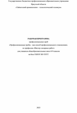 Обложка для материала РАБОЧАЯ ПРОГРАММА профессиональных проб «Профессиональные пробы – как способ профессионального становления». по профессии «Мастер слесарных работ»  для учащихся общеобразовательных школ 8-9 классов