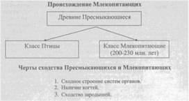 Материал к урокам  биологии