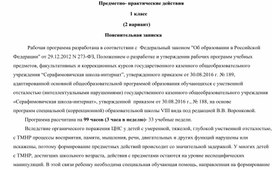 Рабочая программа по развивающему курсу "Предметно-практические действия" 1 класс