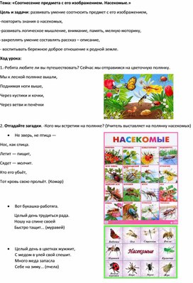 Обложка для материала Конспект коррекционно-развивающего занятия "Соотнесение предмета с его изображением "