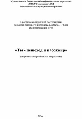 Программа внеурочной деятельности по ПДД